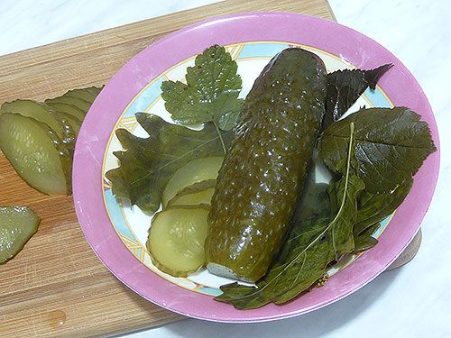 Сохраните вкус лета: хрустящие огурцы холодного посола без уксуса