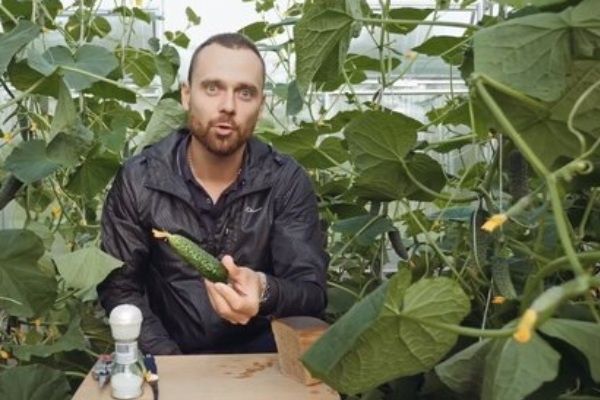 ������ ����: ����-����� ��� ������ �������