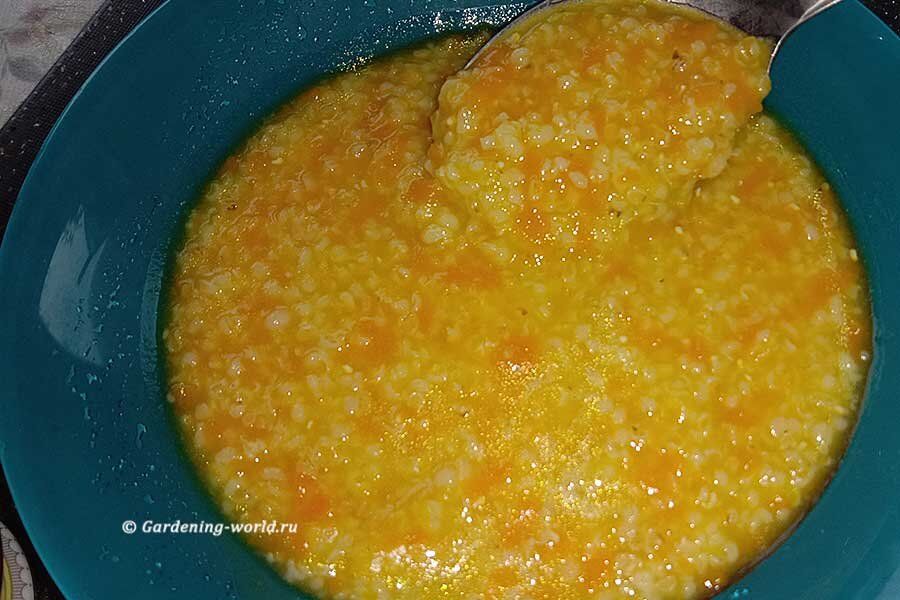 ��������� ����: ������� ������, �������� ���������� ��� �������