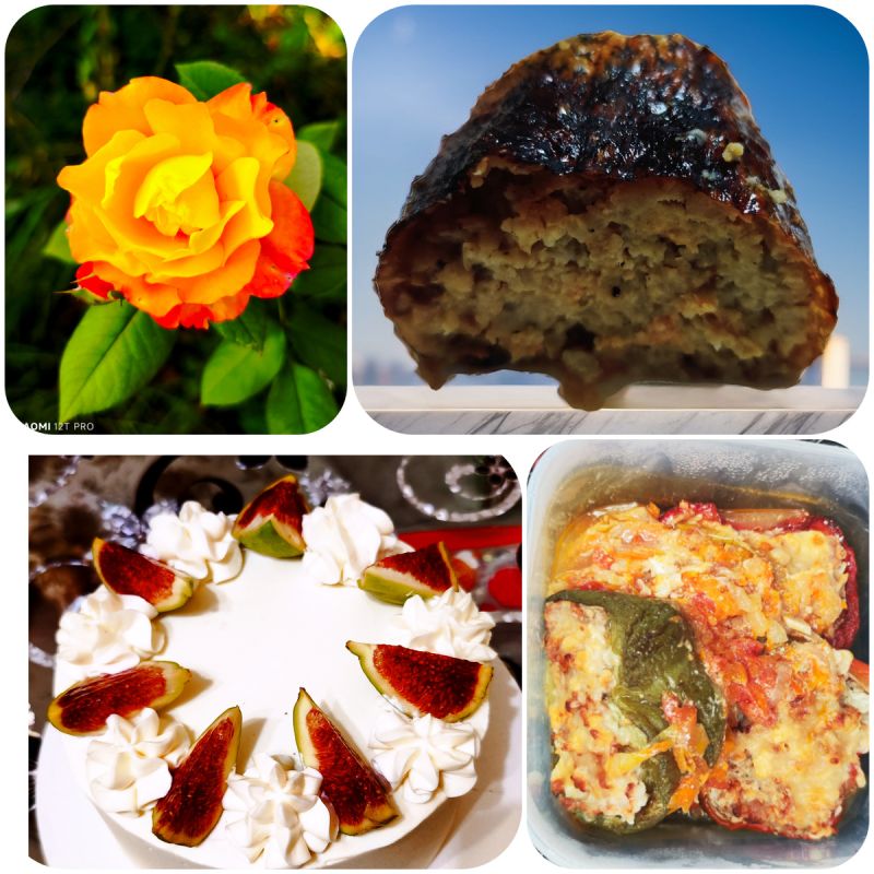 ���������� ����������� �� �����������: �� ���� �� ����������� ������