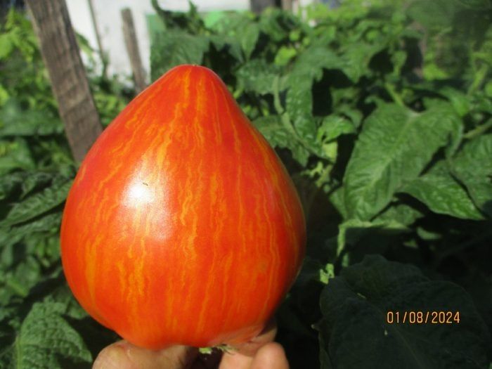 ����� ���� ���������� ����� ������������: ��������� ���� � ������������� �������