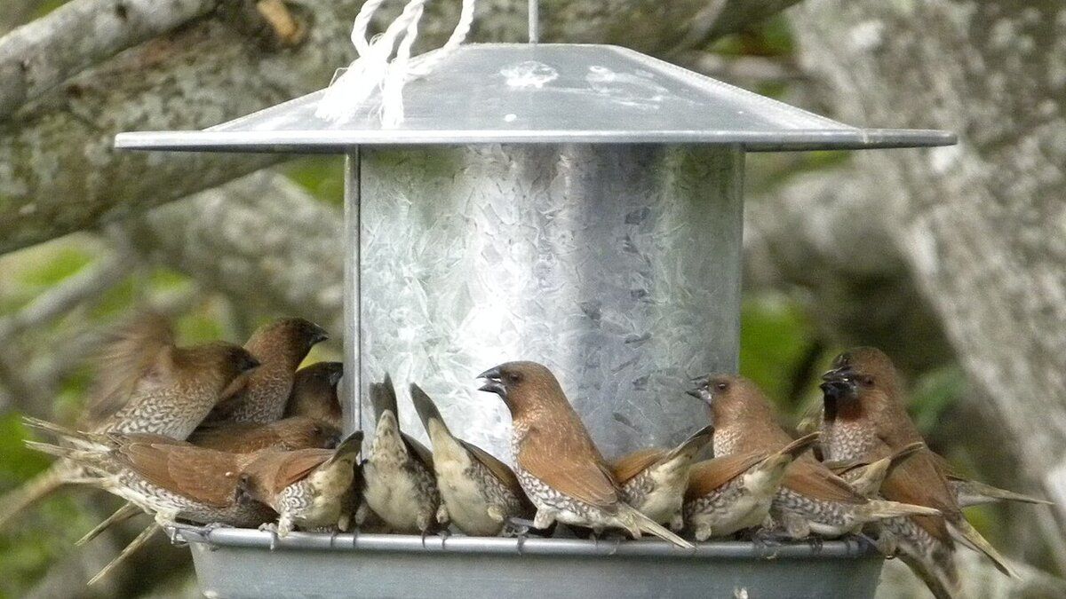 ����� � ������ �������� ��� ����