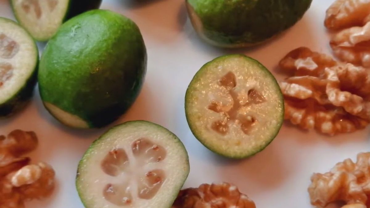 ������: ��������� ������� �������� � ���������