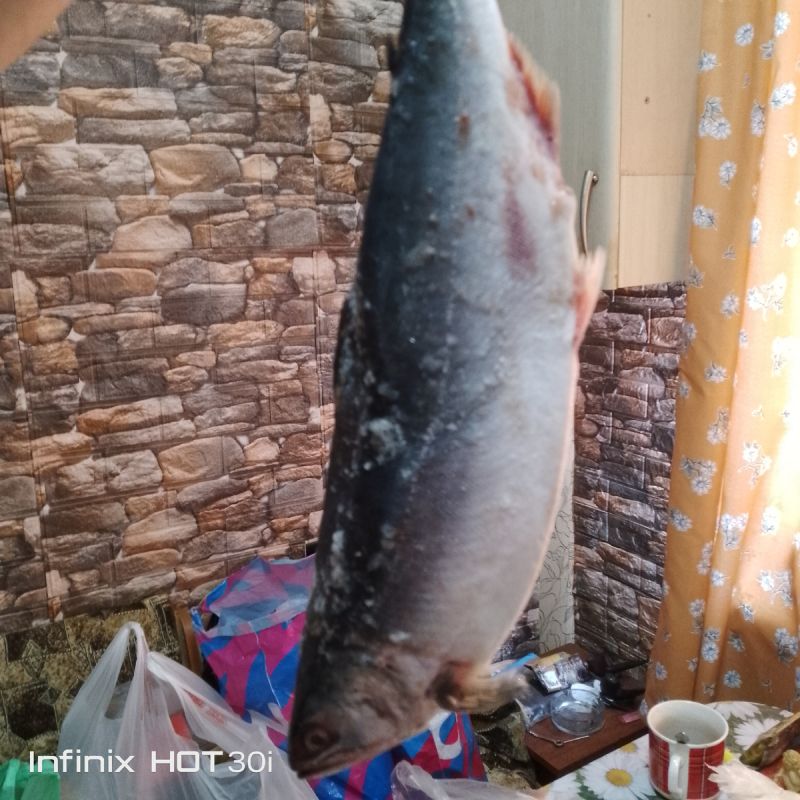 ���� �� ����: �������, ���� � �� ������