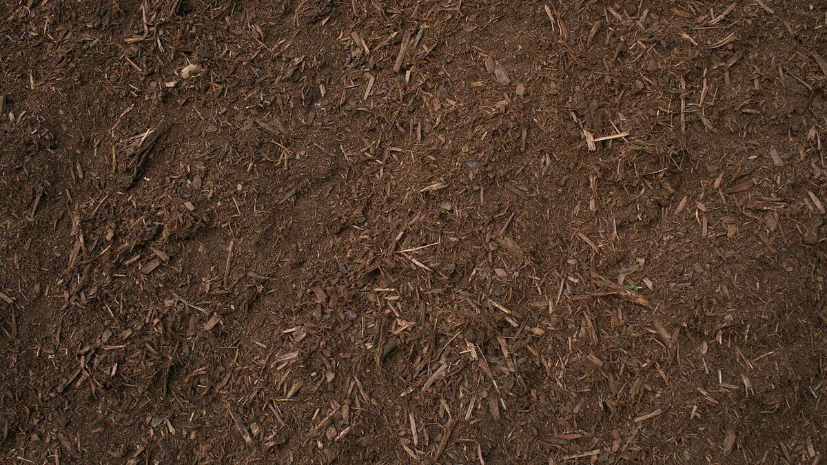 ��� ����������� ����� �������������� ��� ������ ������� � ������� ���