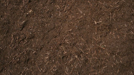 Как бургундская смесь трансформирует ваш дачный участок в зеленый рай