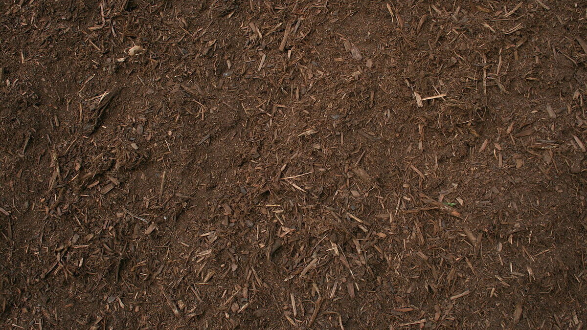 Как бургундская смесь трансформирует ваш дачный участок в зеленый рай