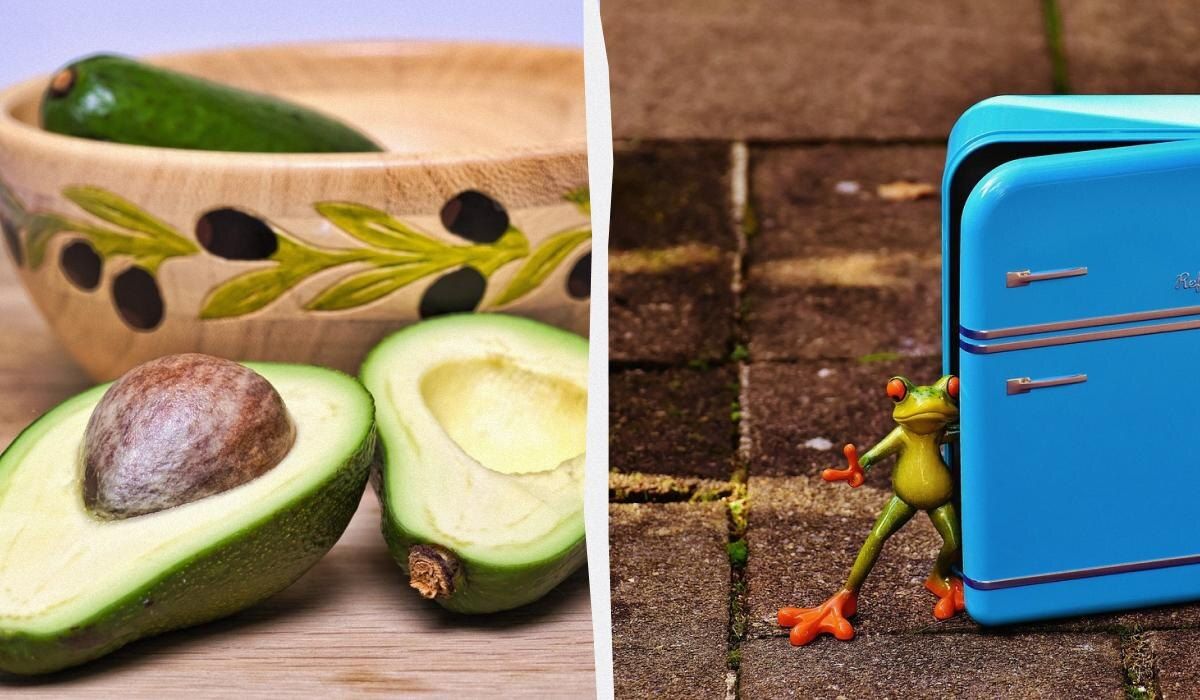 ��� ��������� ������� ������: ������� ������ ��������