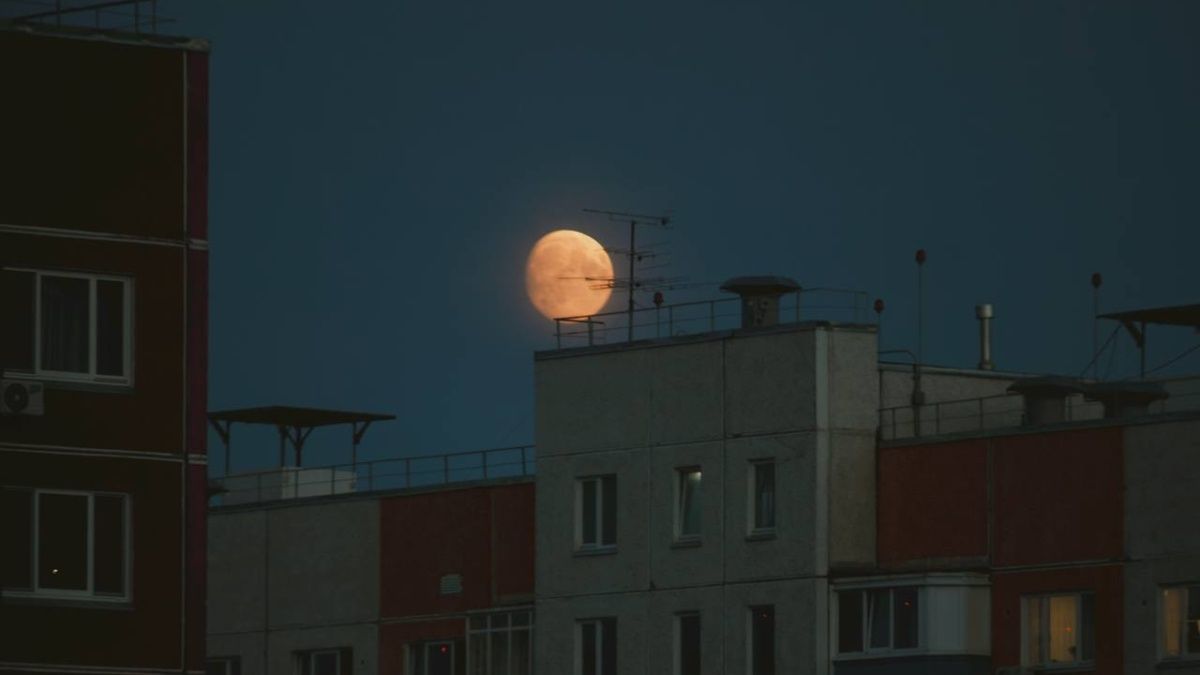 ��� ���������� ������ � ��������� ������: ��� ���� �� ����� �� ������