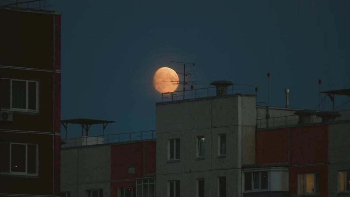 Как превратить глажку в спокойный ритуал: три шага по уходу за утюгом