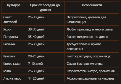 Гидропоника на подоконнике: как вырастить зелень круглый год
