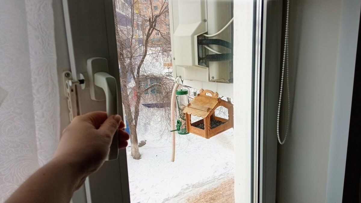 ����� � ���: ��� ����������� ������ ������� �� ������� ������