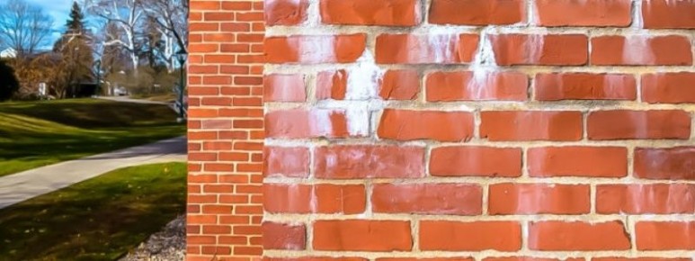 Что такое высолы и как им противостоять?