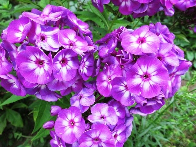 ��� �������� ����� �� ��������� ����: ������� ������ � ����������� ������