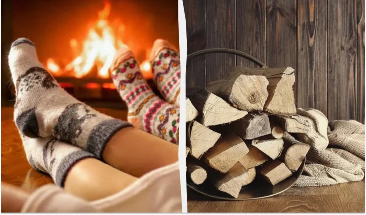 Как правильно выбрать дрова для отопления: секреты тепла и долговечности