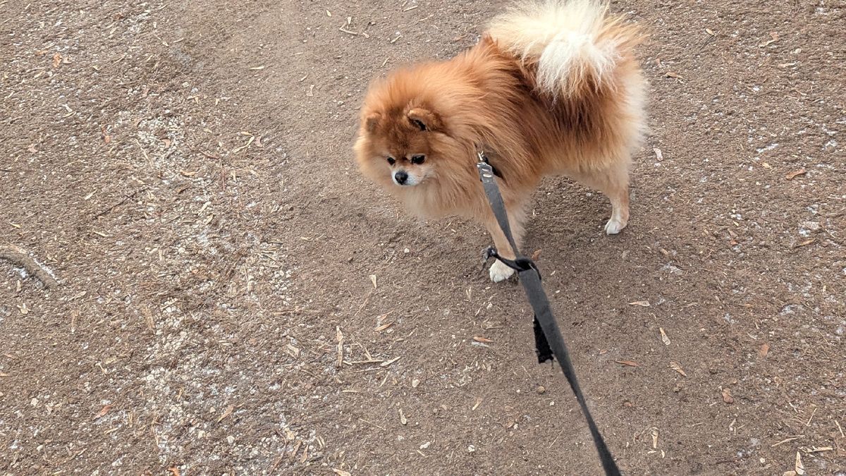 ������ ������ ����: ����� � ������ � ������ �������� �������