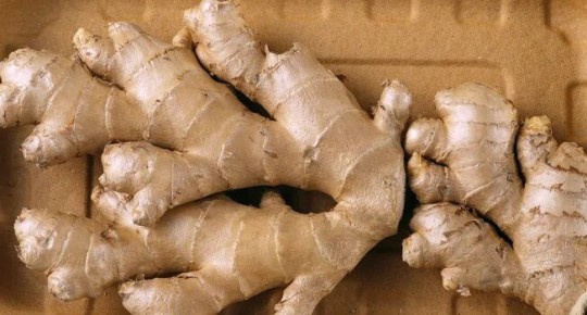 ������ � ���������: ������� ������� ��� ��������� ��������