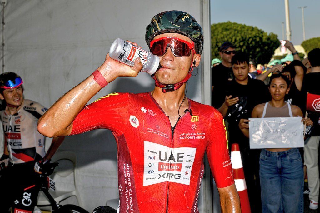 ����� ���� ���� � ����� ����� UAE Emirates �� ������� � ���������