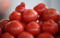 Как сохранить помидоры свежими до зимы: секреты народных мастеров