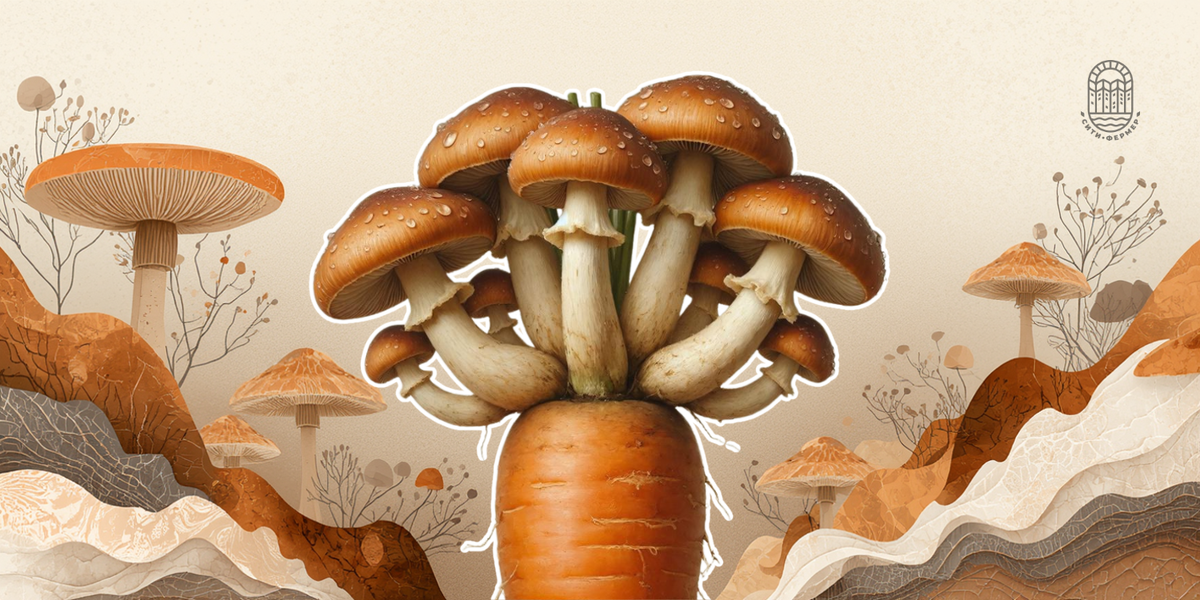 Веганы нашли идеальные котлеты из грибов, выращенных на отходах моркови