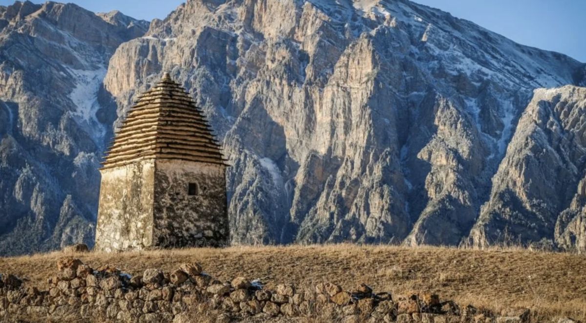 ���� �����: ������� ������� � ������������ �������� �����������