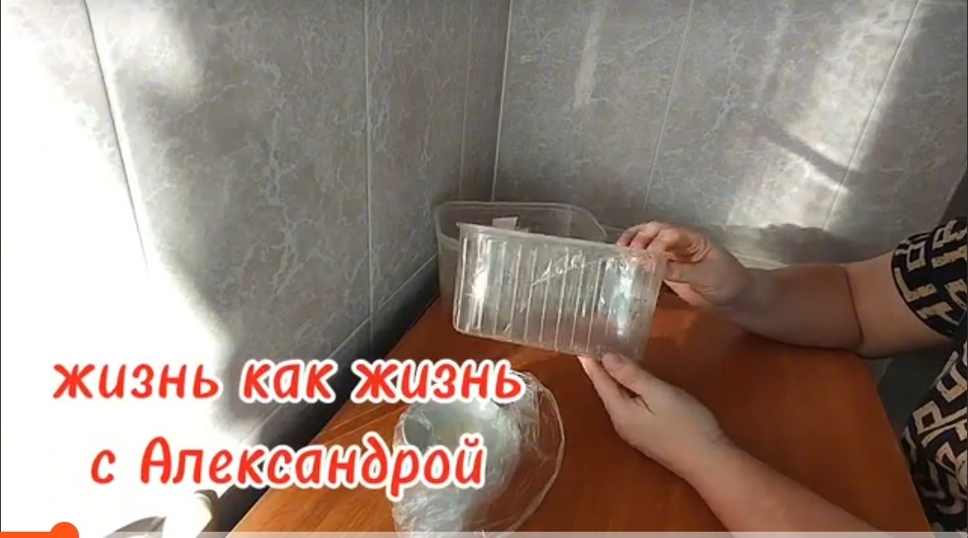 Как правильно сеять перец на рассаду: полезные советы