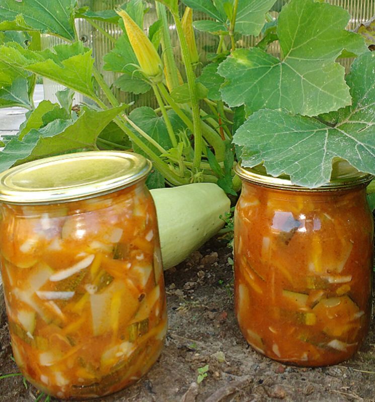 Приготовьте уютную закуску из кабачков на зиму и удивите родных