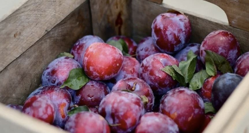 ��������� ����� ������� �� ����� � ����� �������� ��������