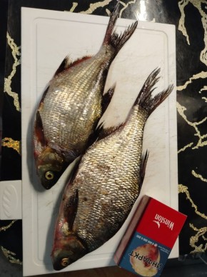 �������� � ����� ������: ������� � ������� ������