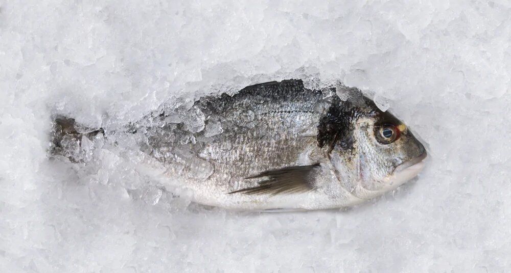 ��� �������: ������������ ��� ����������� ����?