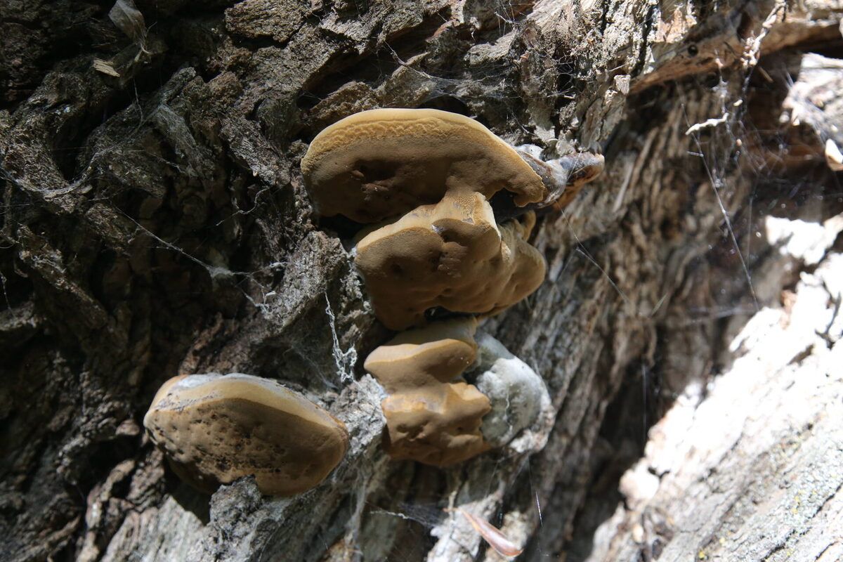 ���� �������� � ������: ����� �� ��� ����� ������� ��������� ���������������