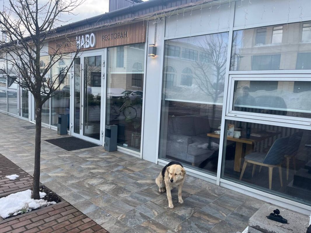 ���� � �������������� � ��������� ����