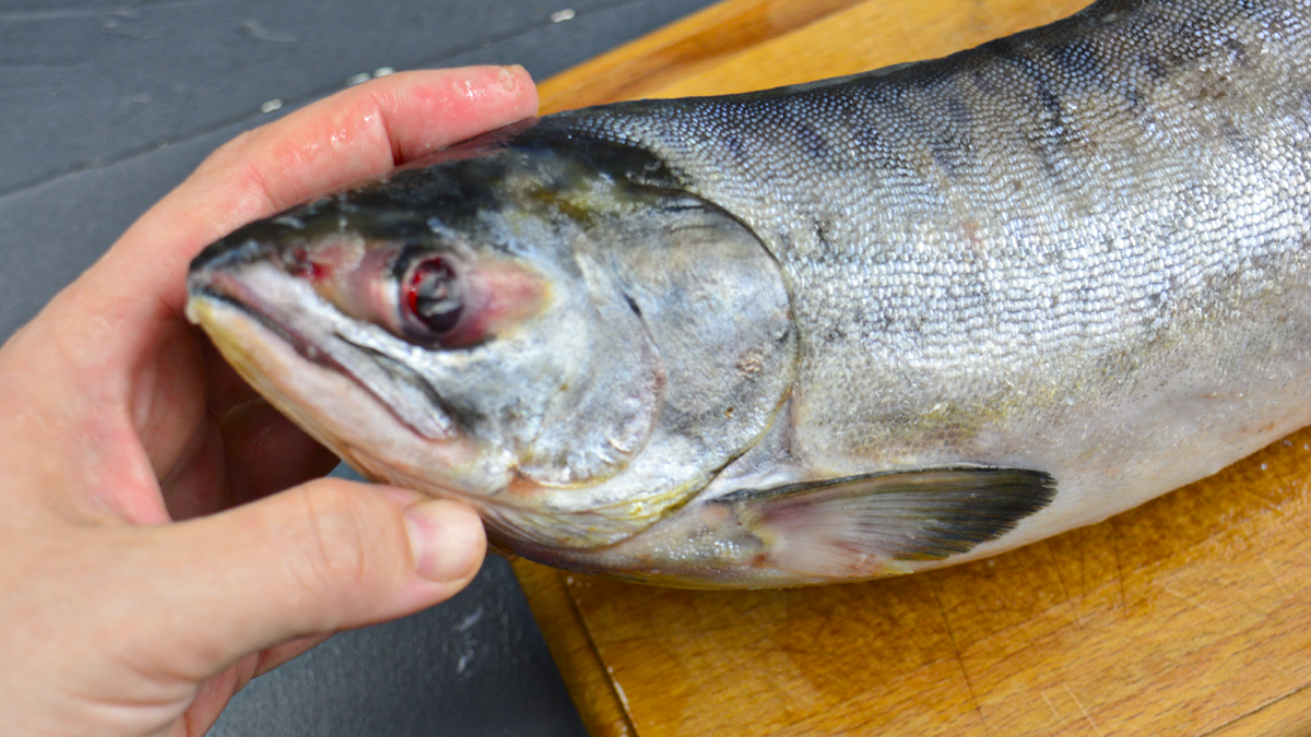 Нежная горбуша: деликатесное угощение на любой праздник