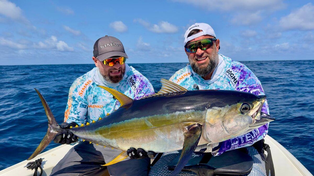 ������ ����� ������: ��������� �� ������