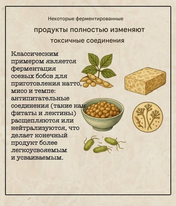 ���������������� ��������: ����� ������� � ������ � ���������