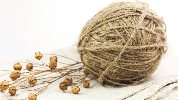 ������������ ���������: ����������� �������� � ��������� ������