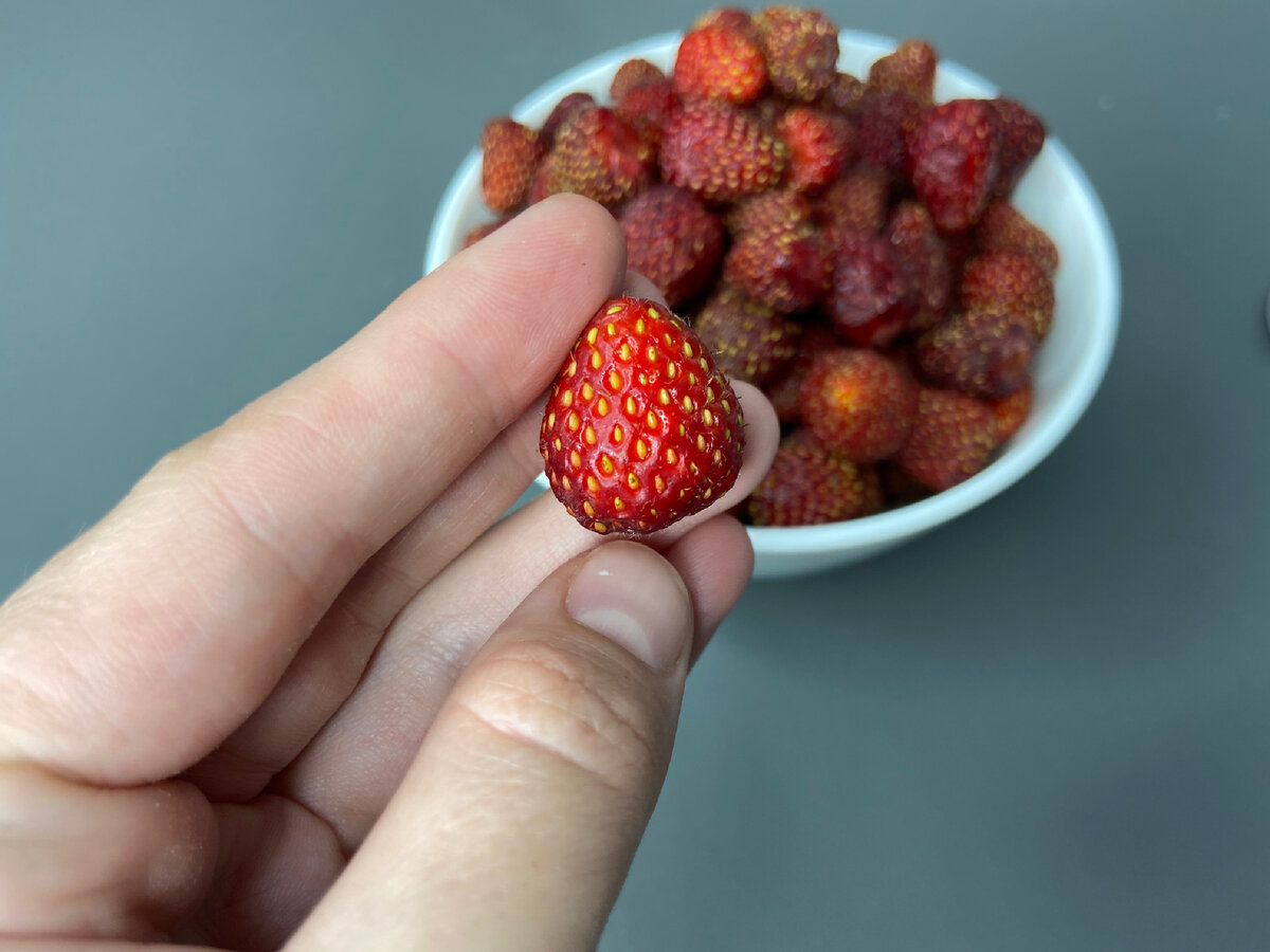 Непревзойденные вареники с ягодами: секреты идеального теста и начинок