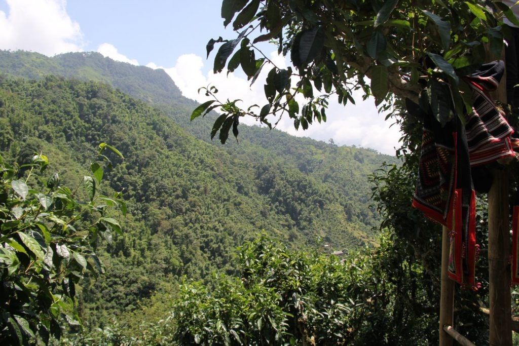 ������� ������ �������: ������ ��� ������������� ���?