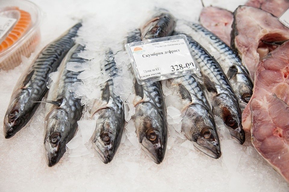 ����� �������� �� ����: 13 �������� �������� � ������� ����������