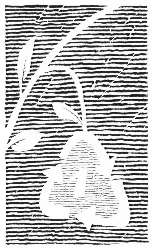 ���� ���� ������� �� ��������: ��� �������������� ������� ������ �� ����������