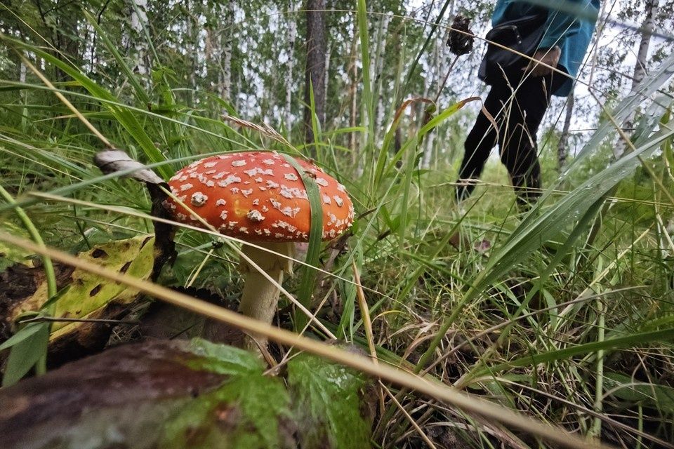 ��� ������� ��������� ������ ������ ������������� ���������