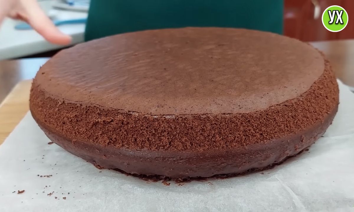 ������������ ���������� ���� �� ���������