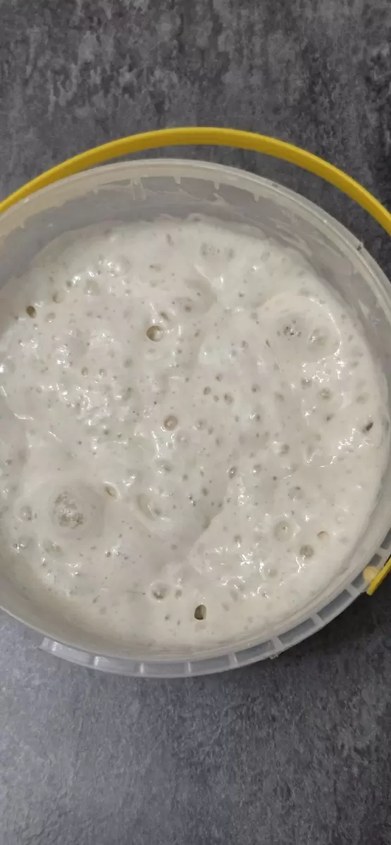 Исследование заквасок: что выбрать для идеального хлеба