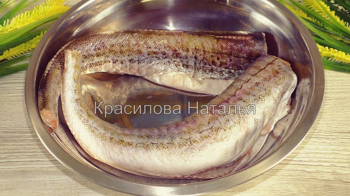 ���� ��� ������� ���������: ������� � ������� ������ ��� ������ ������