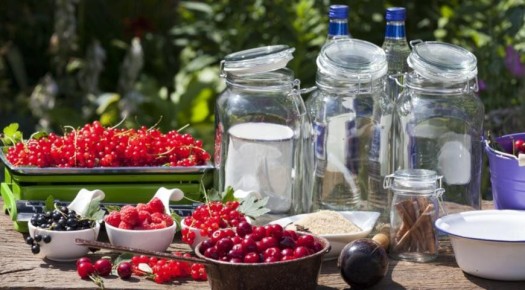 Удачные рецепты домашних наливок и настоек