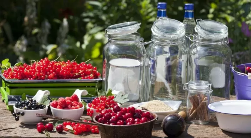 Удачные рецепты домашних наливок и настоек