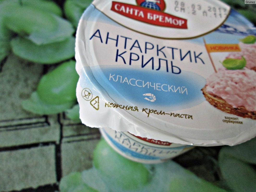 ��������� ����� �� �����: ��� ��������� ������� �������� ����������� ��������