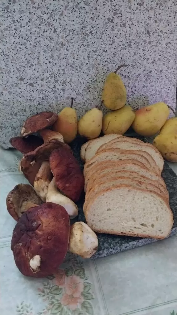 От хлебных палаток до супермаркетов