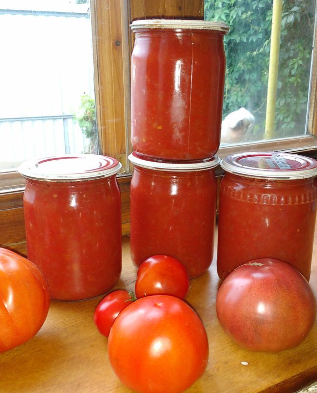 �������� ����, ������� ������ ����� �������� ���������