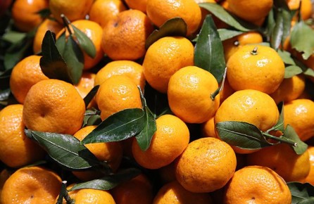 ������������ ���������� � ������ ����: ���� �� ������� ������� ����� ���������